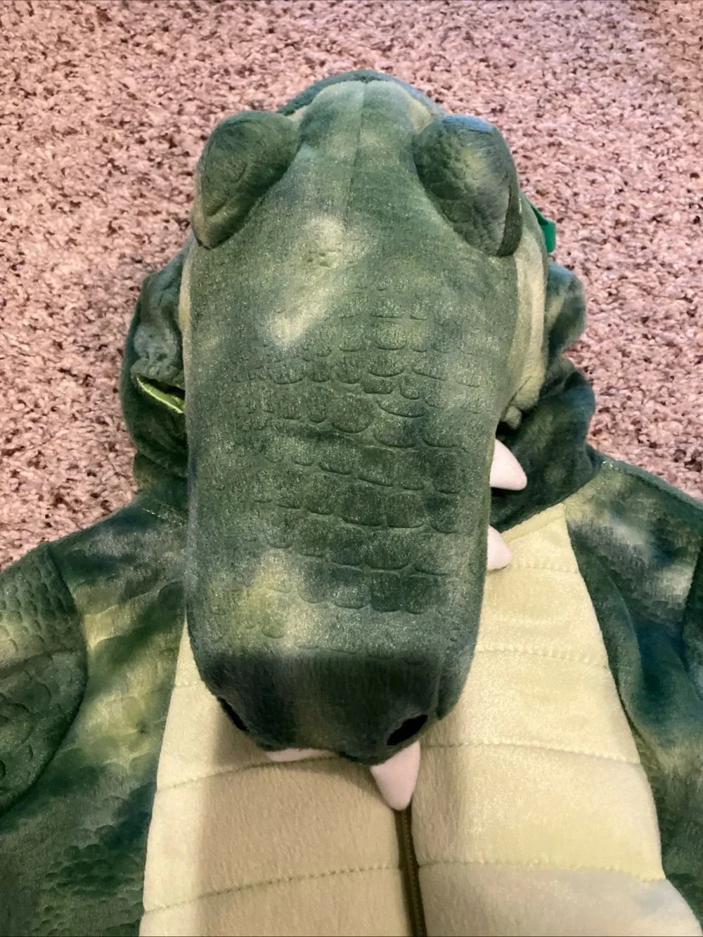 N/A cute alligator